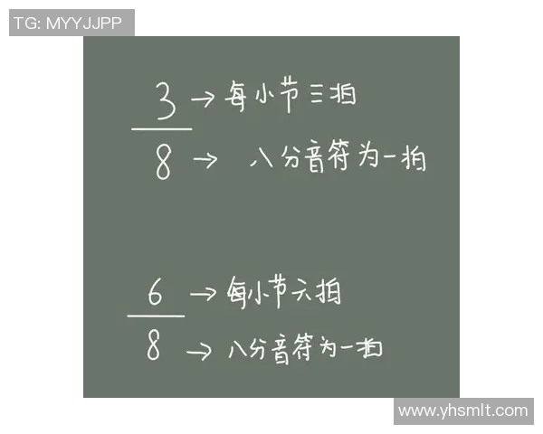 南京与重庆排球队对决后的战术分析与比赛节奏探讨 南京与重庆排球队对决后的战术分析与比赛节奏探讨